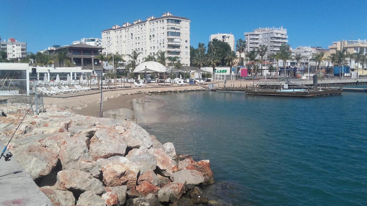 203 I Posada Del Mar I Encantador Hostel En La Playa De Gandia Eksteriør billede